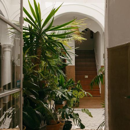 Hostal Africa Tarifa Dış mekan fotoğraf