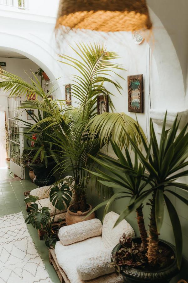 Hostal Africa Tarifa Dış mekan fotoğraf