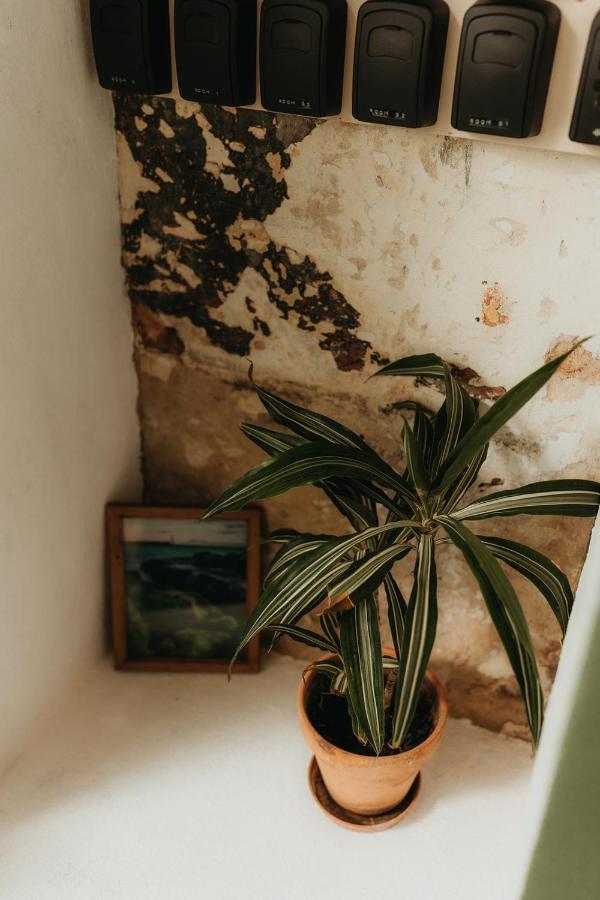 Hostal Africa Tarifa Dış mekan fotoğraf