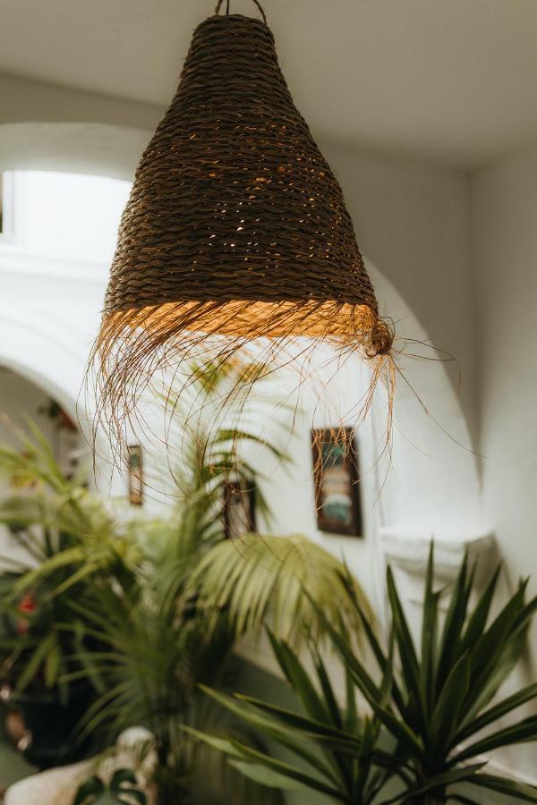 Hostal Africa Tarifa Dış mekan fotoğraf