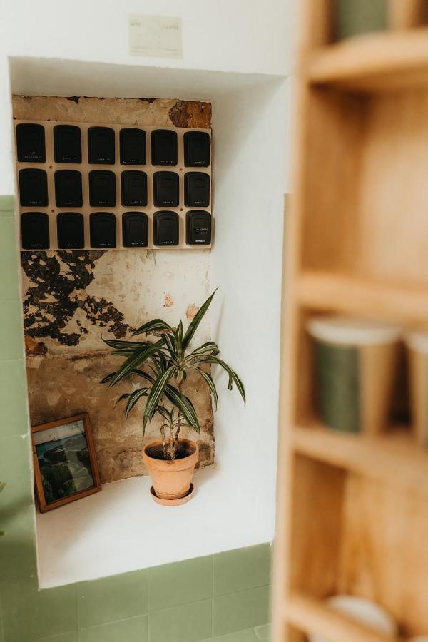 Hostal Africa Tarifa Dış mekan fotoğraf
