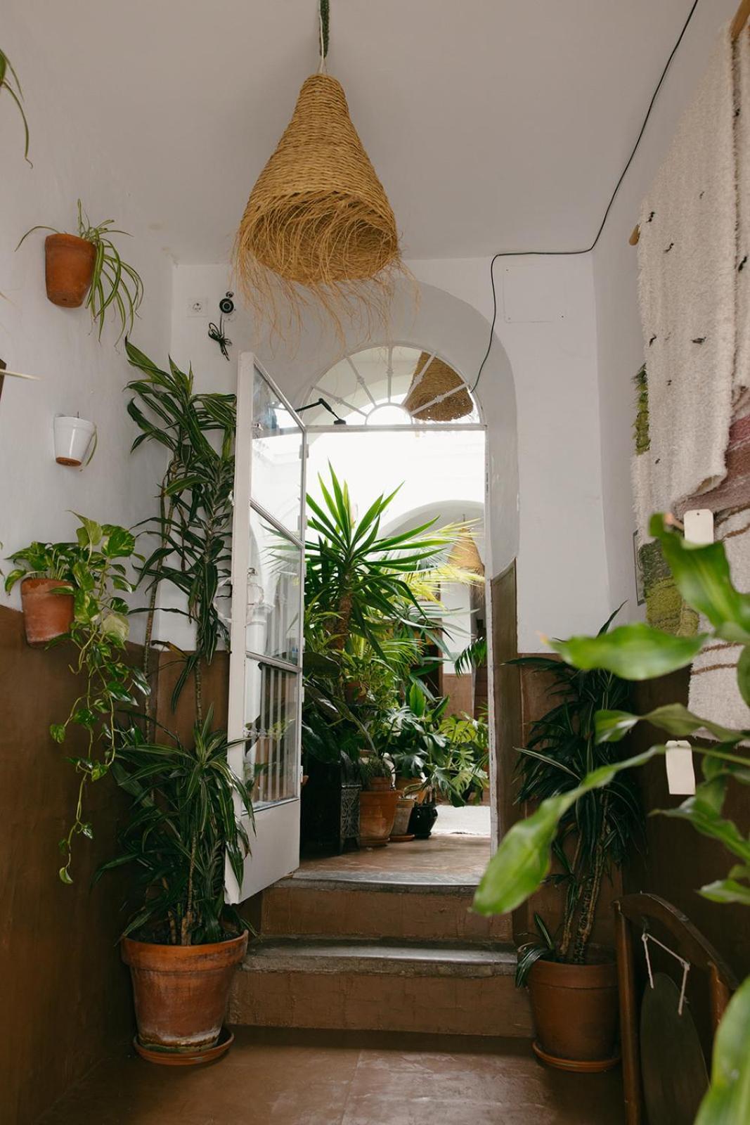 Hostal Africa Tarifa Dış mekan fotoğraf