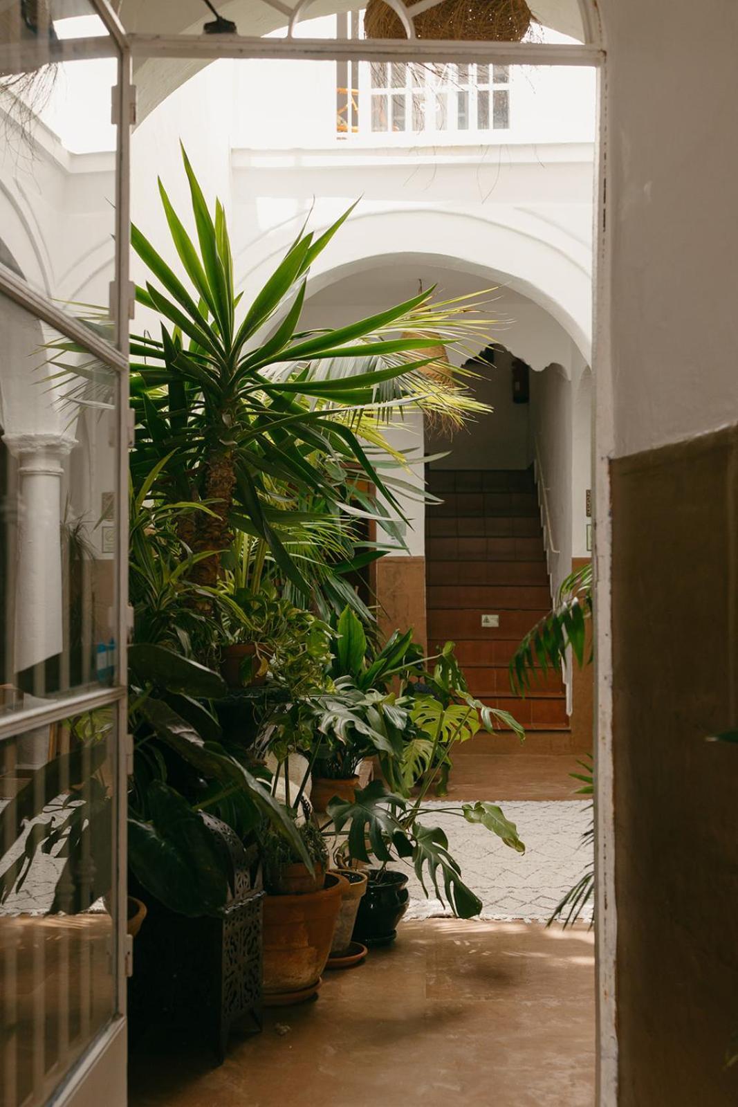 Hostal Africa Tarifa Dış mekan fotoğraf