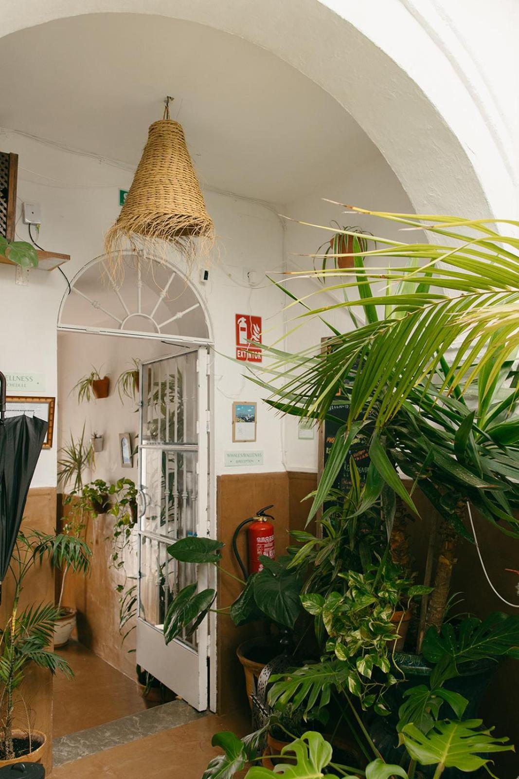 Hostal Africa Tarifa Dış mekan fotoğraf